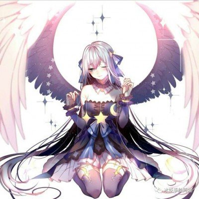 春晚同款机器狗爆改买菜搭子